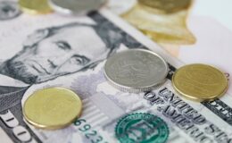 В Германии напечатали купюру номиналом 0 евро