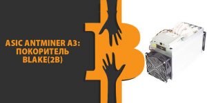 AntMiner A3 Siacoin: старт майнинга SIA