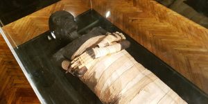 В Египте найден крупный некрополь с сокровищами