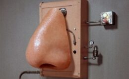 Nose électronique pour smartphones