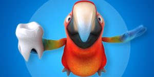 Почему у птиц нет зубов