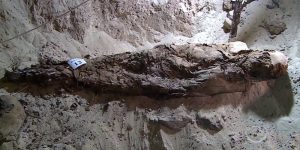 Как делали мумии в древнем Египте