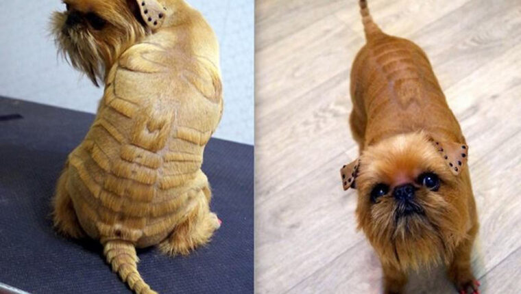 Kreativer Hundeschnitt: Skorpion-Design