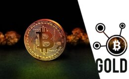 Bitcoin contra oro: en qué invertir dinero