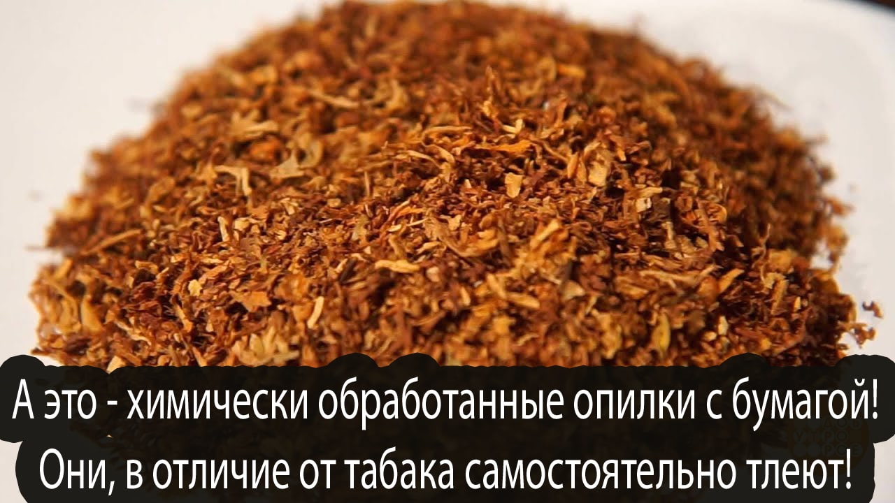 Вейпинг: польза и вред вейпа, отзывы Вейпинг: польза и вред вейпа, отзывы