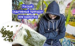 Насвай: sedante o droga
