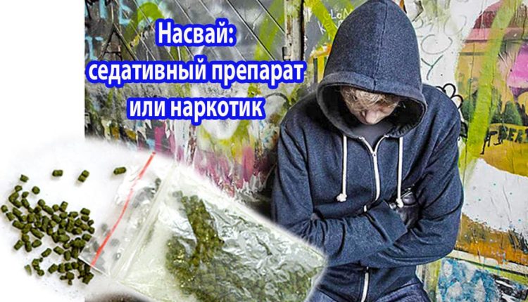Насвай: седативный препарат или наркотик