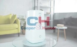 Humidificador de aire para el hogar: CH-2940T Crete