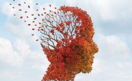 Alimentos para mejorar la actividad cerebral