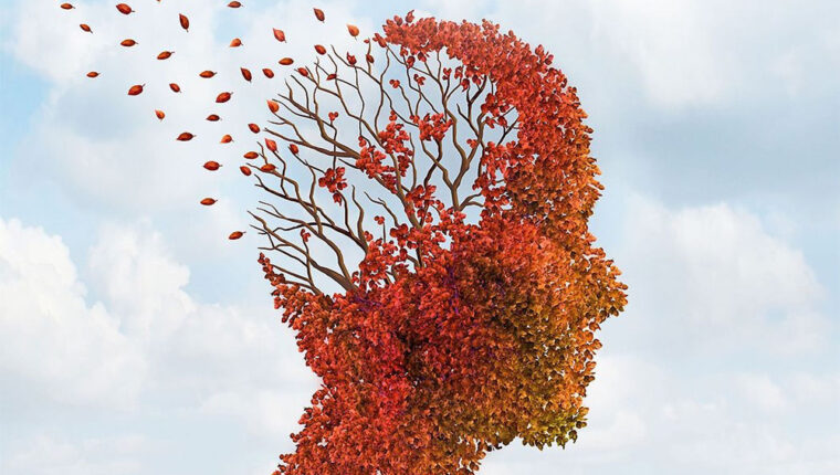 Alimentos para mejorar la actividad cerebral