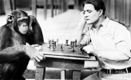 Neuralink – Elon Musk ha mejorado a un mono