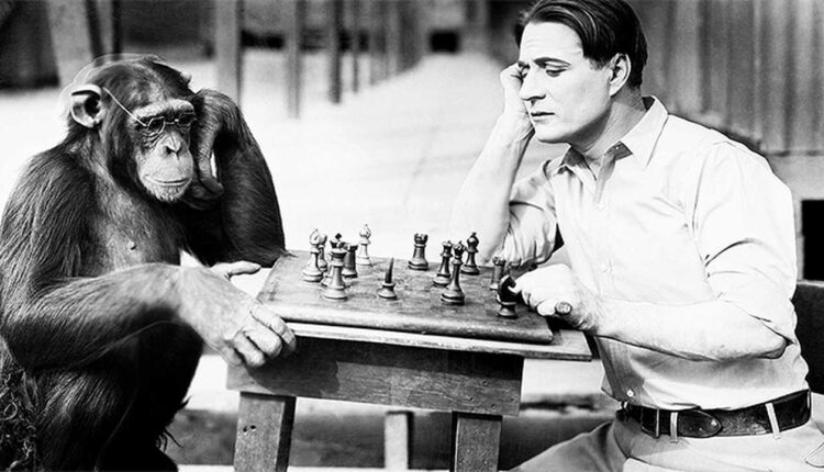 Neuralink – Илон Маск усовершенствовал обезьяну