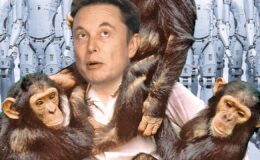 Elon Musk Decides to Endow Fauna with Intelligence