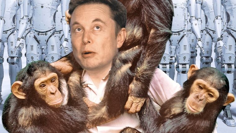 Elon Musk Decides to Endow Fauna with Intelligence