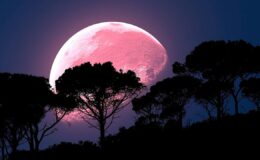 Luna rosa super – fenómeno natural
