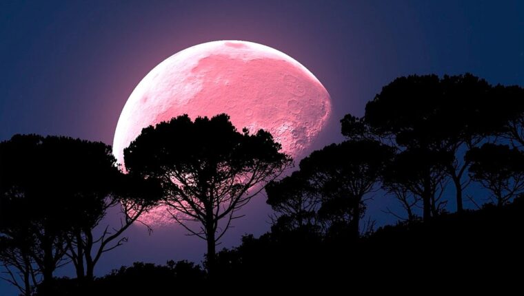 Pink Supermoon – A Natural Phenomenon Pink Supermoon – A Natural Phenomenon