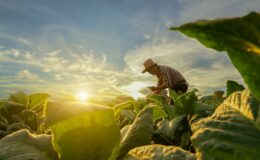What Computer Do You Need for Mining Chia Coin