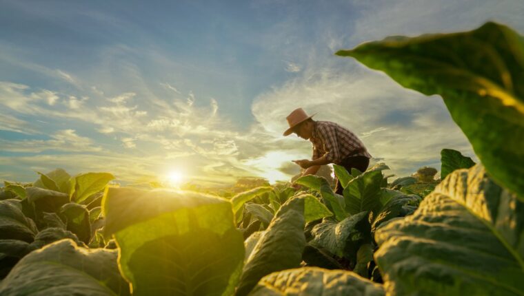 What Computer Do You Need for Mining Chia Coin What Computer Do You Need for Mining Chia Coin