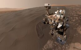 En TWITTER está ganando popularidad la cuenta del rover Perseverance