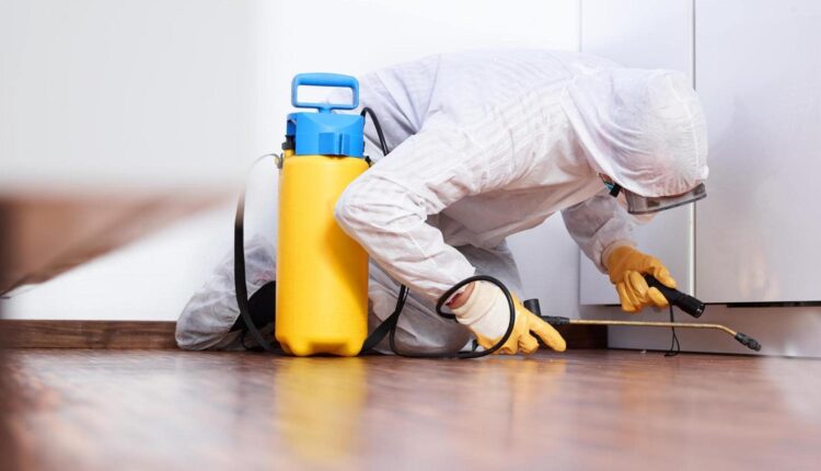 Чем лучше мыть полы – выбираем технику и аксессуары