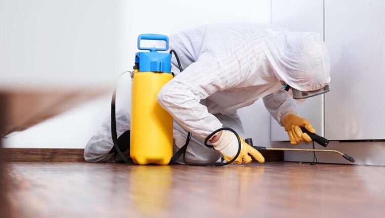 How to Better Clean Floors – Choosing Equipment and Accessories How to Better Clean Floors – Choosing Equipment and Accessories