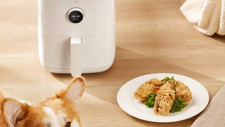 Xiaomi Mi Smart Air Fryer – ein neuer Blick auf Fritteusen Xiaomi Mi Smart Air Fryer – ein neuer Blick auf Fritteusen