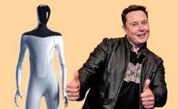 Tesla Bots – Elon Musk's New Hobby