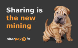 L'ascesa del token SHIBA INU ha generato un nuovo hype, ecco Shar Pei
