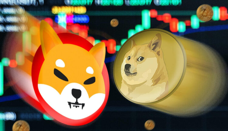Shiba Inu и Dogecoin – прогноз на 2022 год
