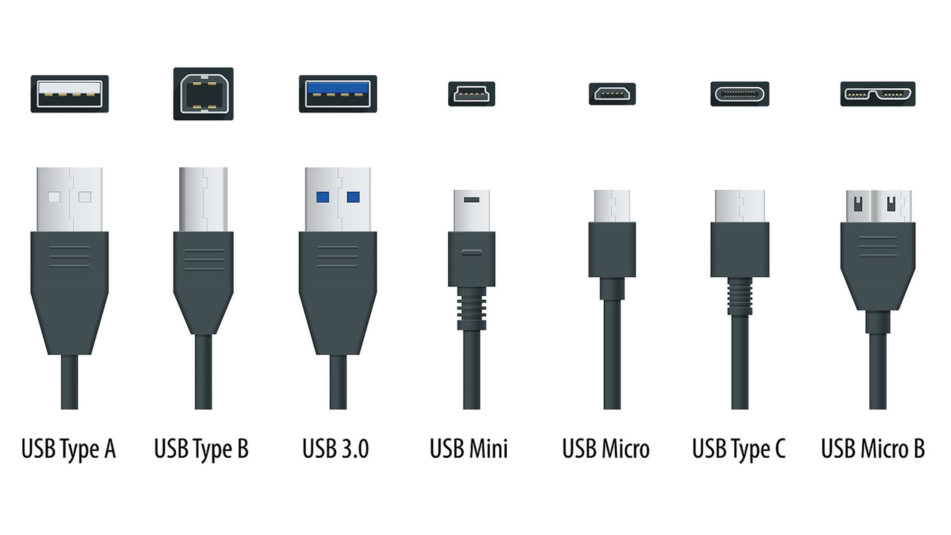USB Type-C is the standard for charging appliances in 2022 | TeraNews.net