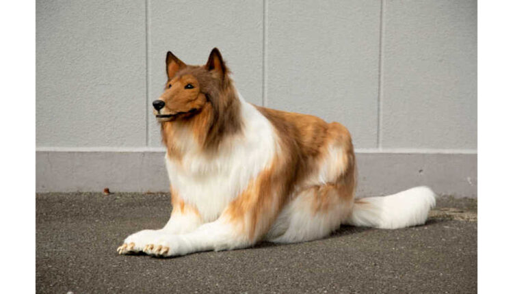 Человек-собака или как потратить $15000