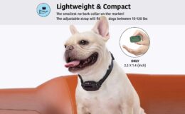 Collier de contrôle de l'aboiement du chien – son propre entraîneur