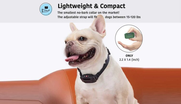 Ошейник для контроля лая собаки – сам себе дрессировщик