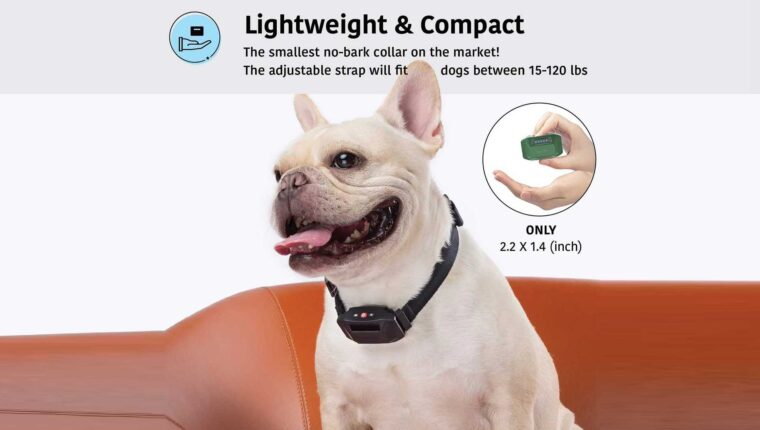 Hundehalsband zur Kontrolle des Bellens – der eigene Trainer Hundehalsband zur Kontrolle des Bellens – der eigene Trainer