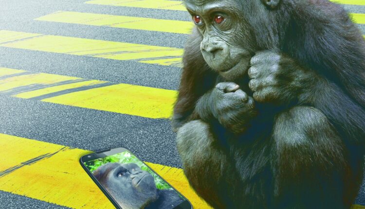 Gorilla Glass Victus 2 – новый стандарт в мире закаленных стекол для смартфонов