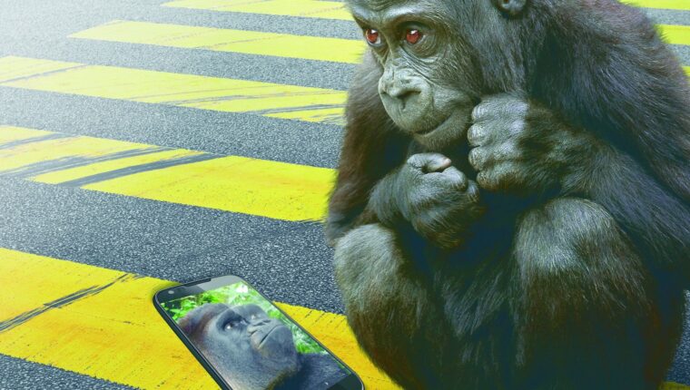 Gorilla Glass Victus 2 – neuer Standard in der Welt der gehärteten Bildschirme für Smartphones Gorilla Glass Victus 2 – neuer Standard in der Welt der gehärteten Bildschirme für Smartphones