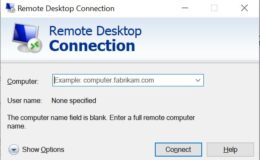Terminal Server: An Integral Part of Modern Corporate Networks
